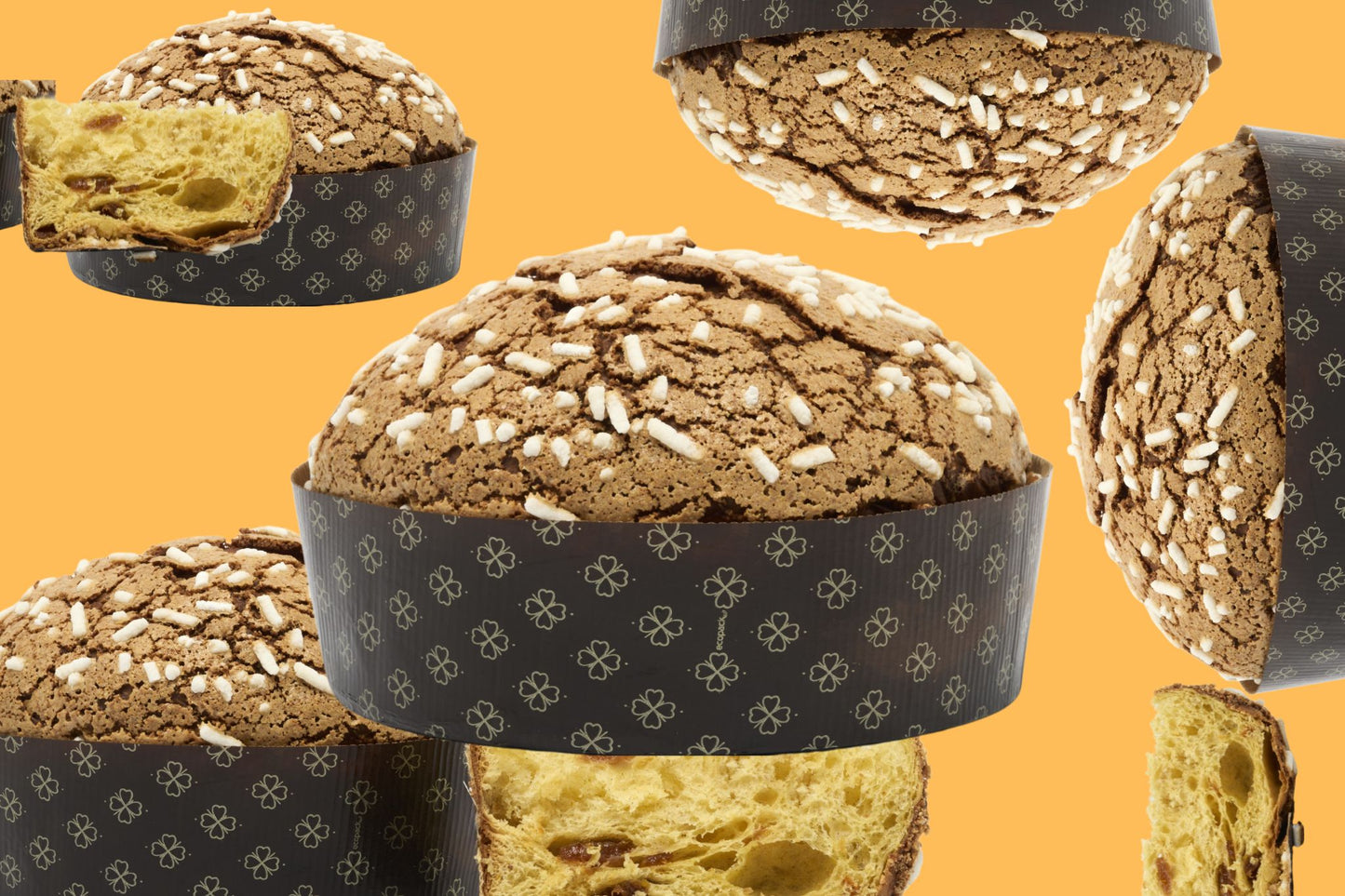 Panettone Artigianale Albicocca Pellecchiella